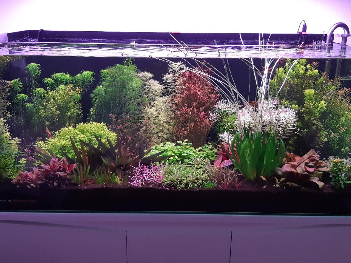 300l