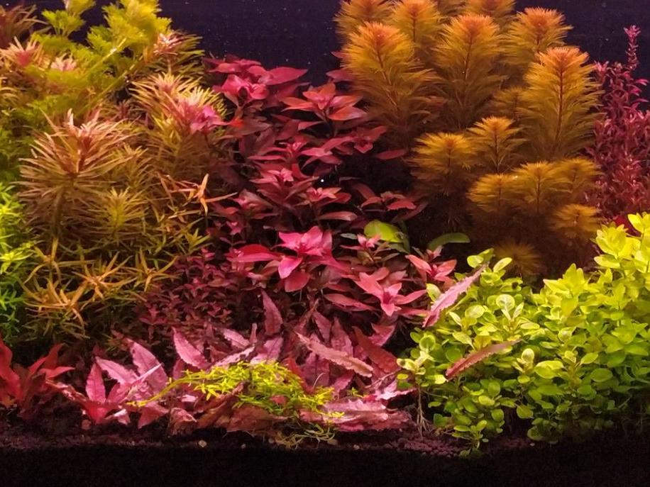 240l