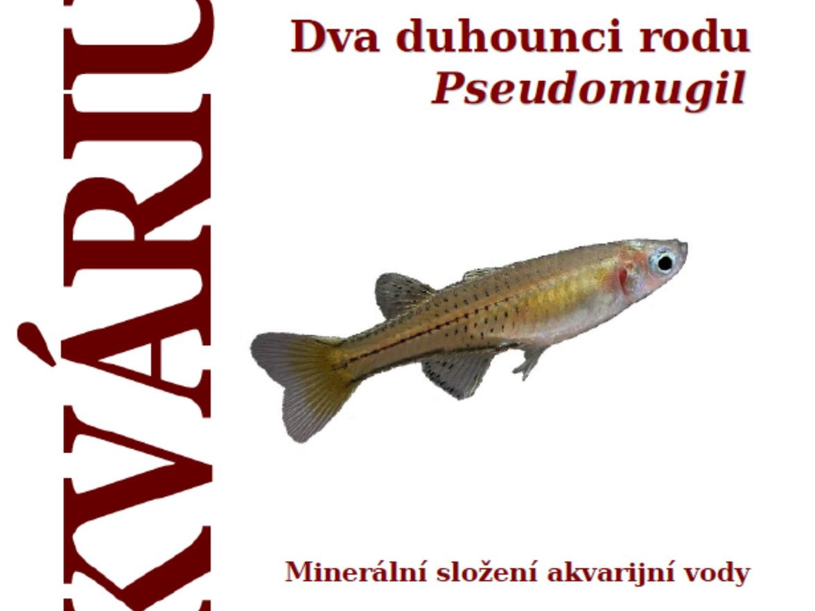 Die neue Ausgabe der Zeitschrift e-Aquarium ist gerade erschienen