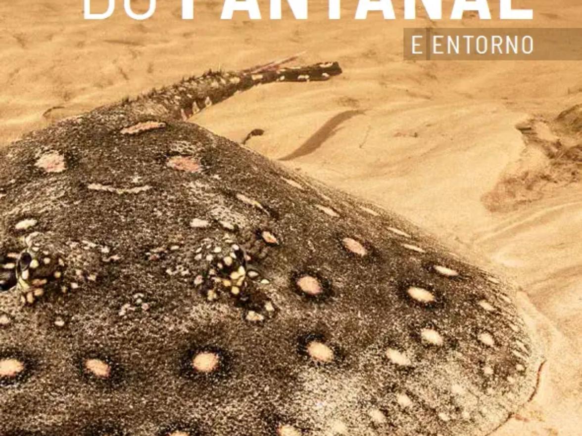 "Ryby Pantanalu" - Książka/PDF o świecie ryb Pantanalu w Brazylii