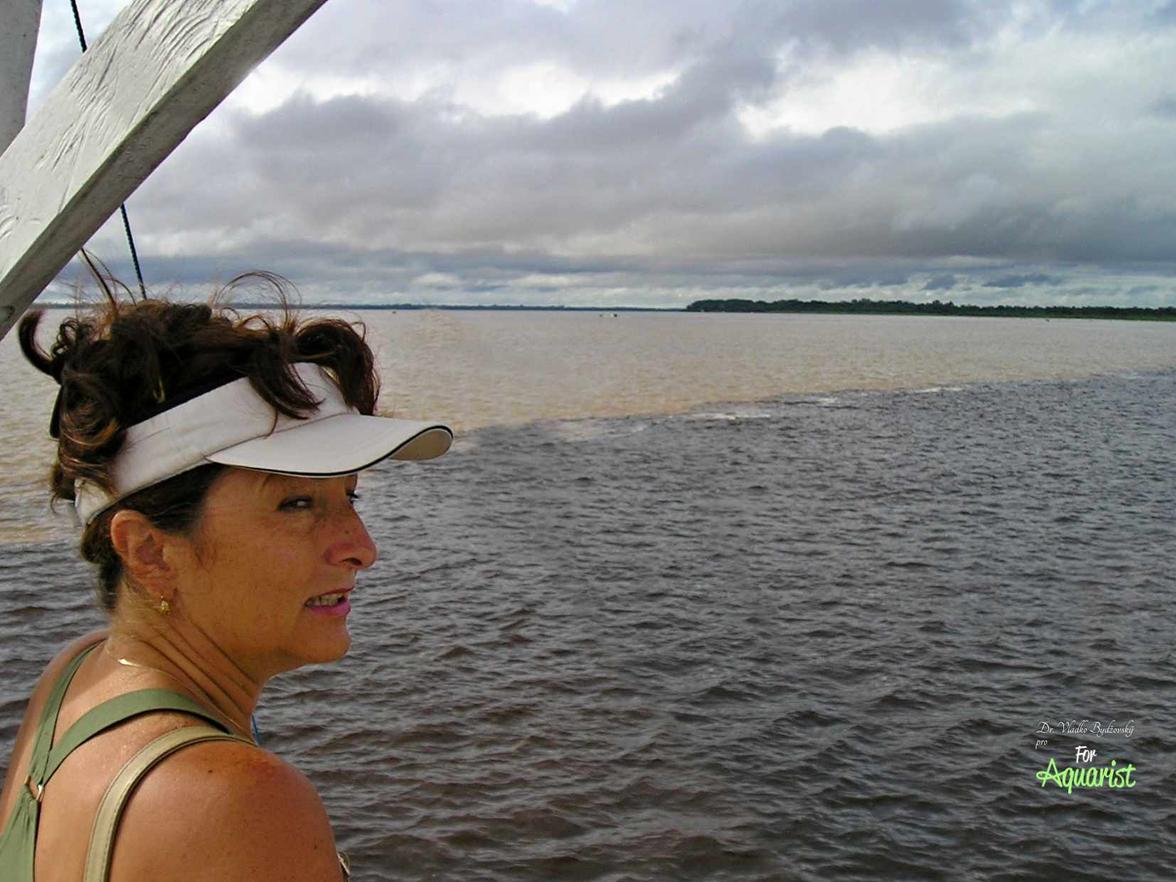 Světoznámý je soutok černé Rio Negro a bílé Solimões u Manaus, dále se pak řeka jmenuje Amazonka. 