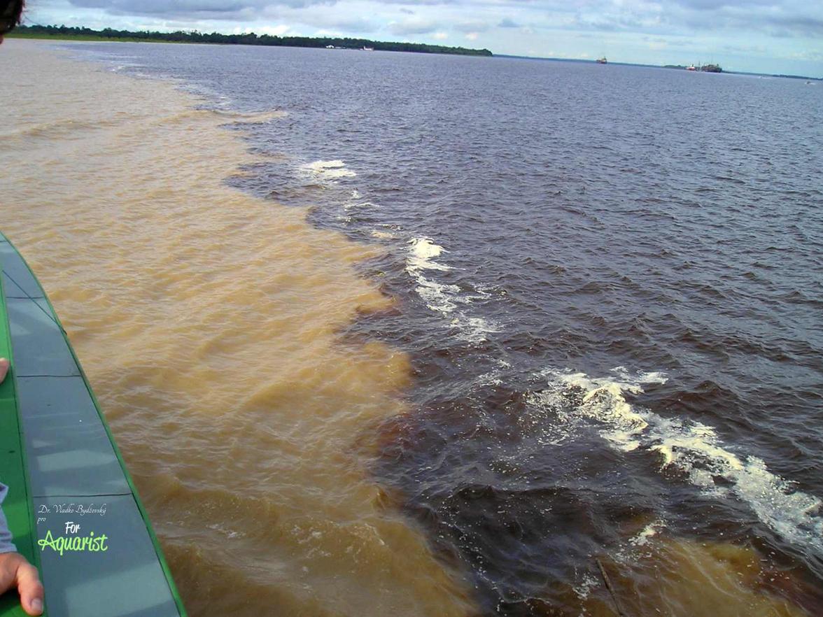 Ostrá hranice černé a bílé vody soutoků řek u Manaus se táhne celých 7 km.