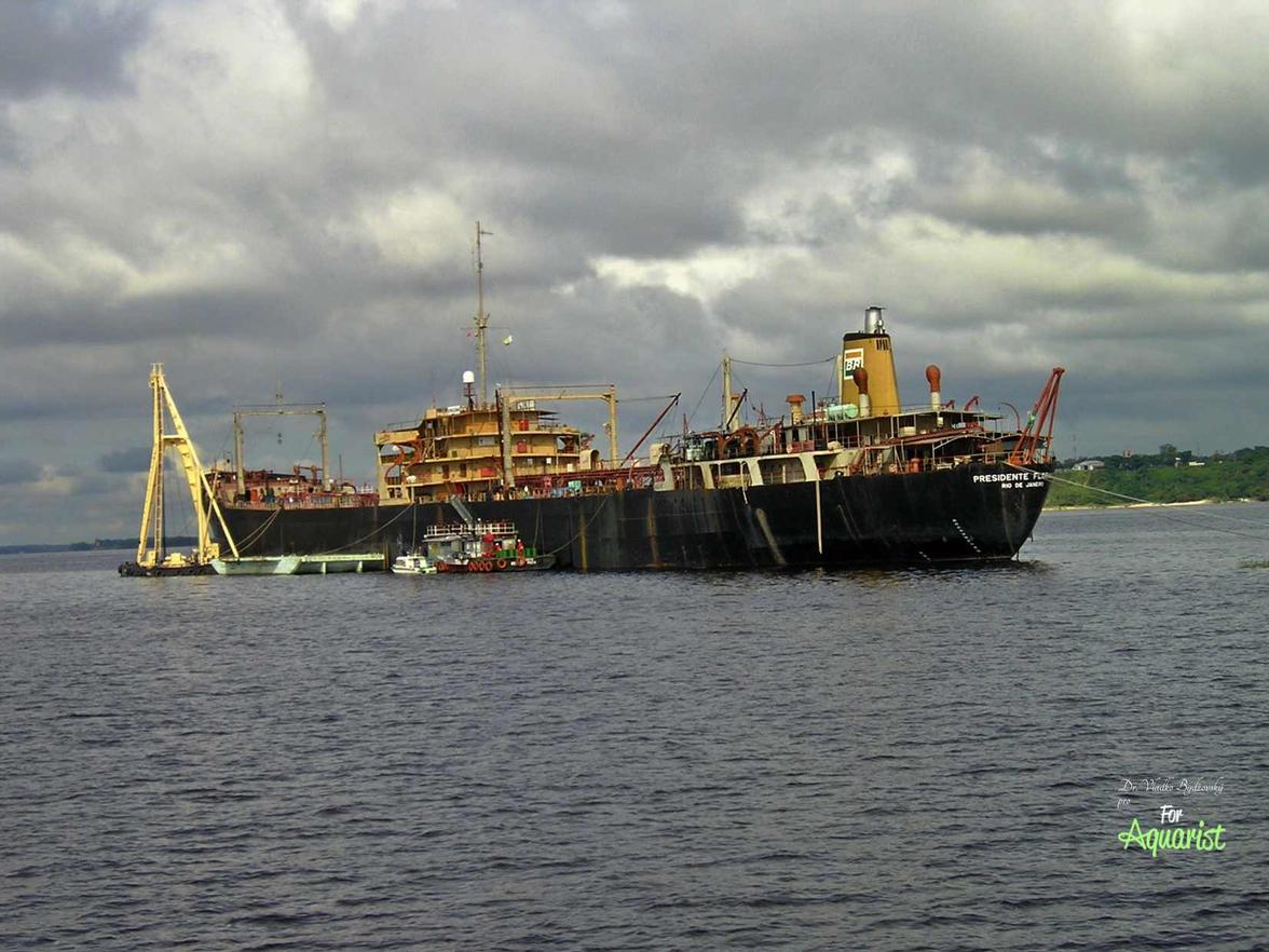 Amazonka u Manaus má až 175 m hloubku, proto zde plují i velké nákladní lodě.