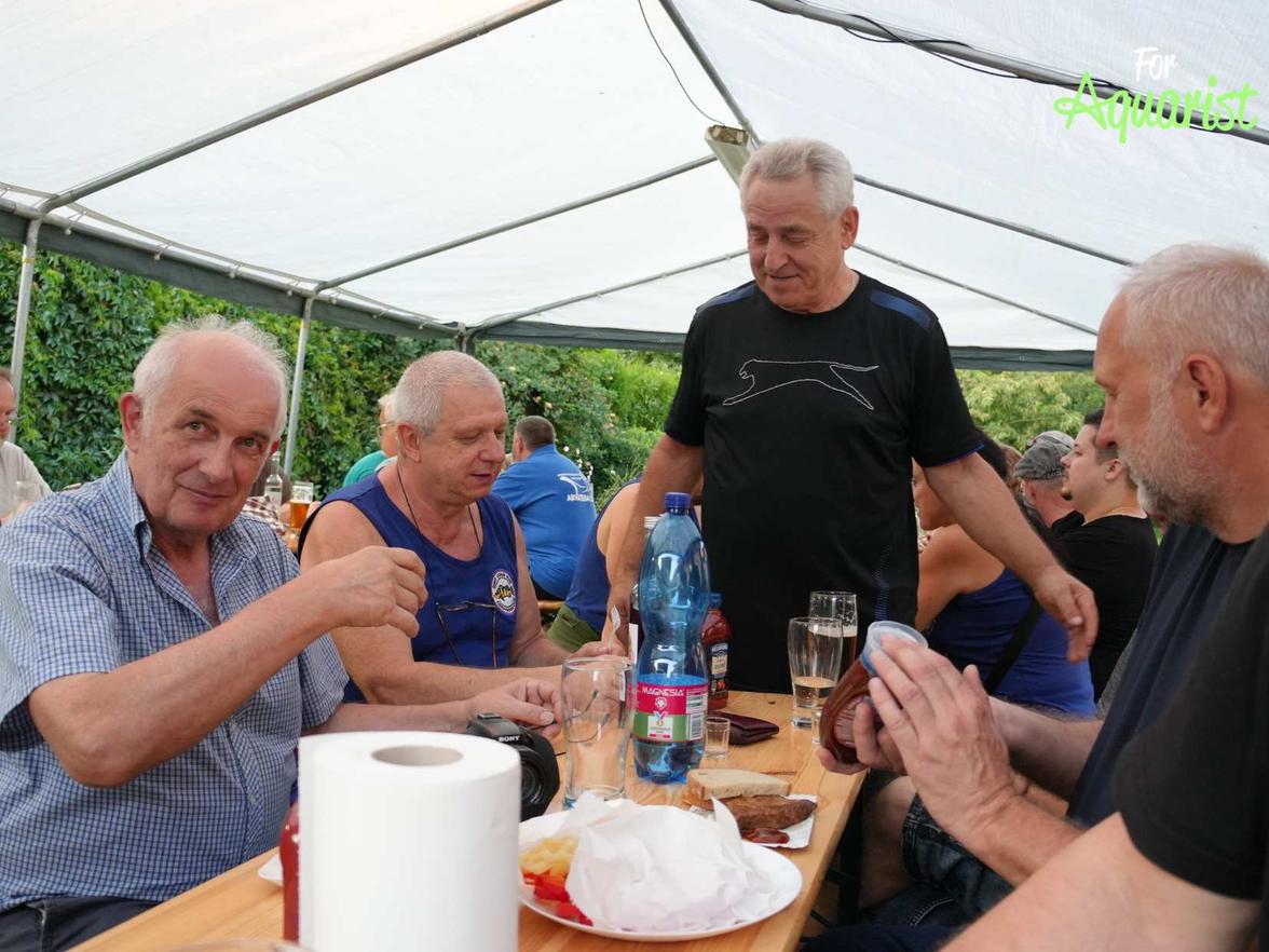 Zdeněk Dočekal byl v jednom kole