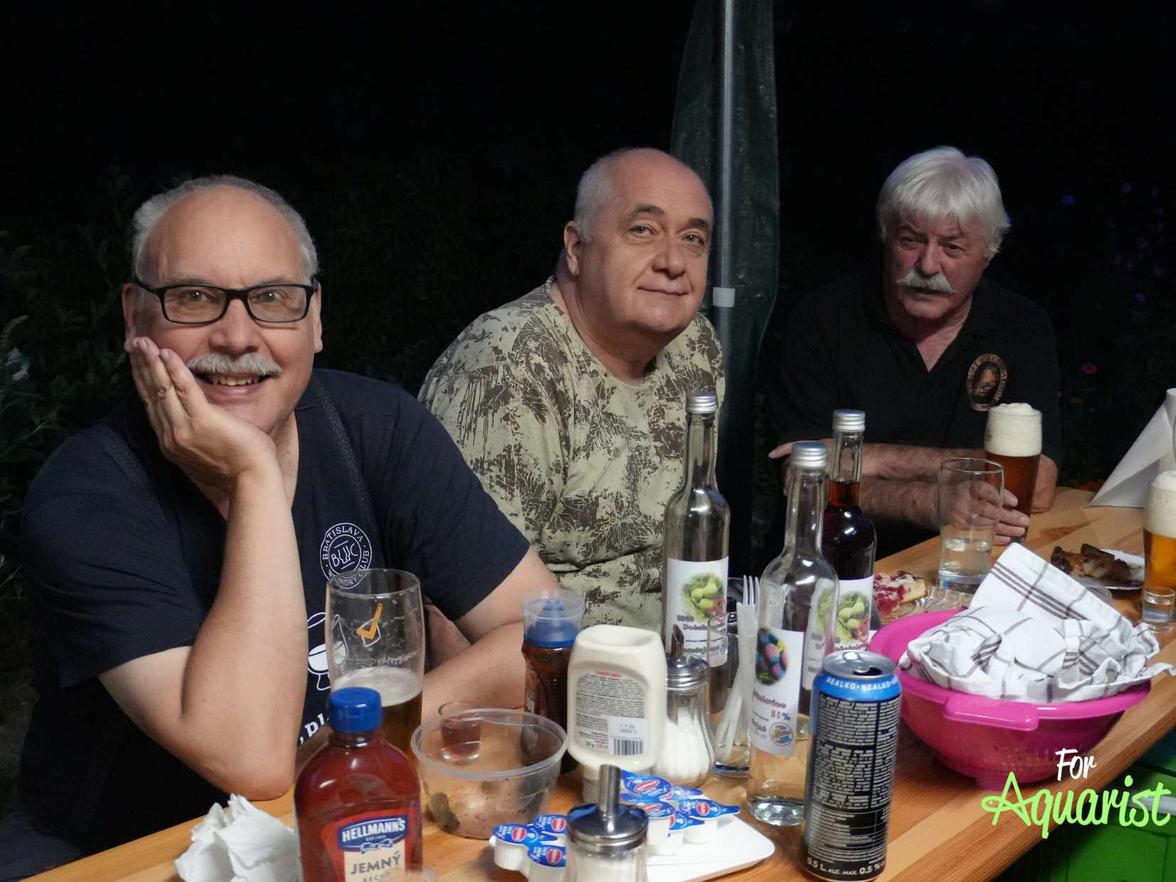 Martin Hauskrecht, Anton Rychtárik, Slávek Boudný