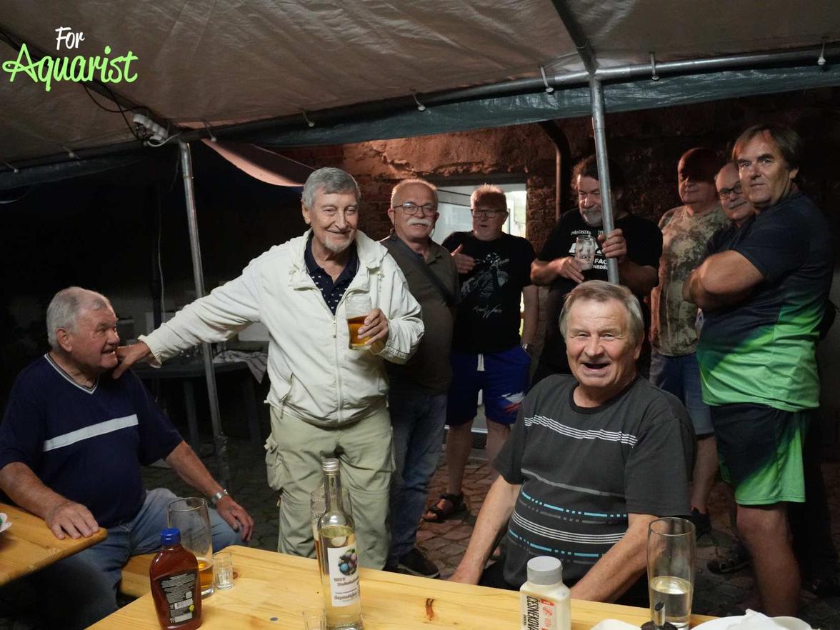 Jarda Paulus, Lubomír Čuhel, Zdeněk Havel, Robert Kosek