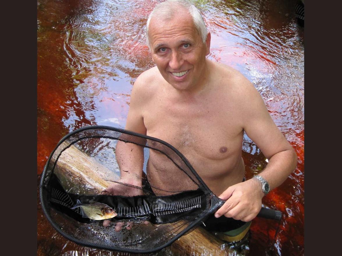 Často a velice lehko jsou piraně chytány na udici.