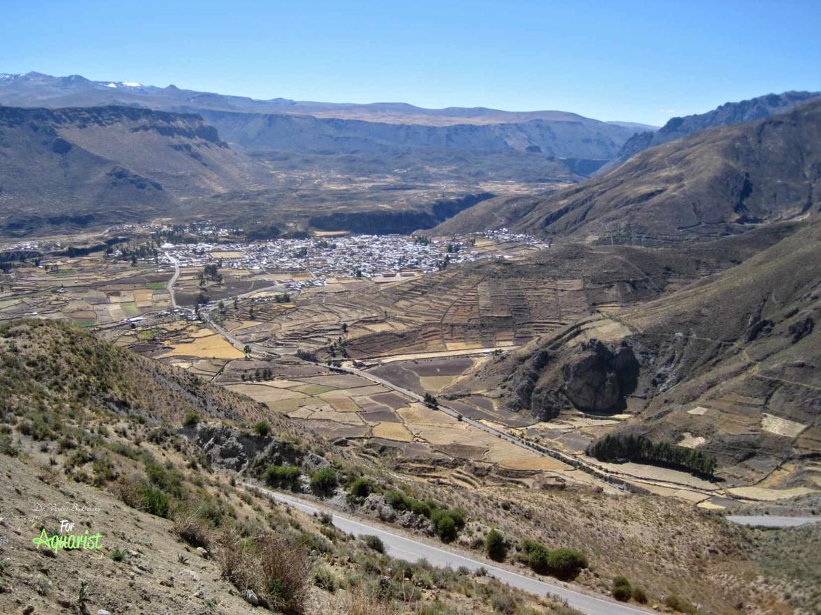 Rio Urubamba pramení pod názvem Vilcanota v Centrálních Andách jihovýchodně od Cuzca nedaleko Puna. Ve Svatém údolí mezi Pisacem a Ollantaytambo bývá někdy nazývána též Wilcamayu (svatá řeka).  Protéká v hlubokých kaňonech, které rozdělují hřbety Vilcabamba a Vilcanota, stéká se s řekou Tambo-Ene-Apurímac a vytváří řeku Ucayali.