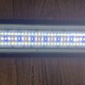 Aquatlantis Easy LED freshwater 1047mm
