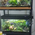 prodam stojan s 2 akva Rio 125l Juwel