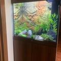 Juwel Lido 120
