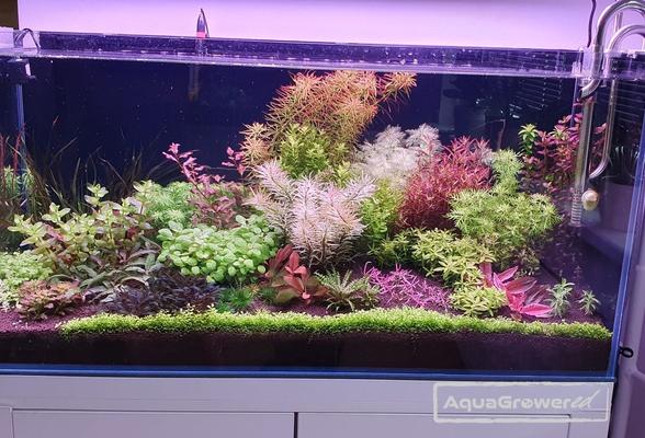 200l