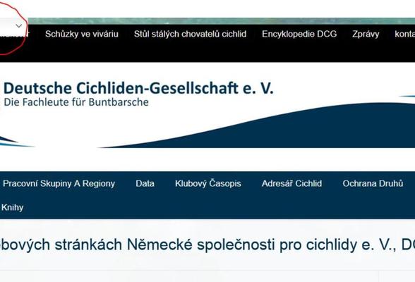 Německý cichlid klub (DCG) má nyní své webové stránky i v češtině