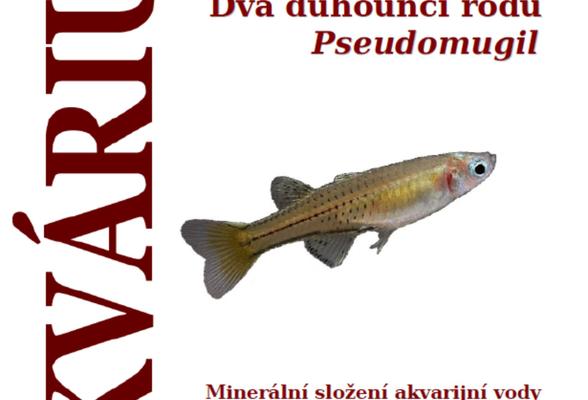 Die neue Ausgabe der Zeitschrift e-Aquarium ist gerade erschienen