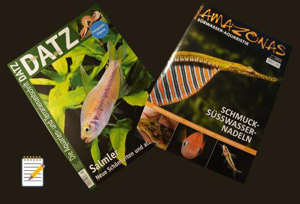 Wybór z druku Datz & Amazonas (Czerwiec-Sierpień 2025): Tetery, Igły i Wieczne Walki z Glonami