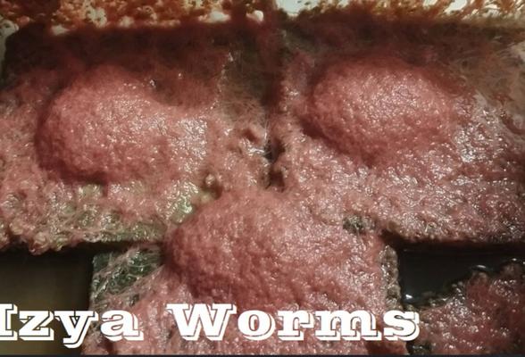 Živé krmivo , násady k domácímu chovu - Auloforus, Izya worms, Grindal, Mikry, Dafnie, Moina ...